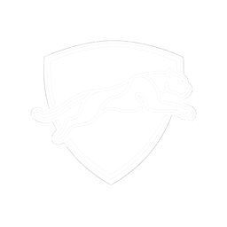 Panther Package Deliveries